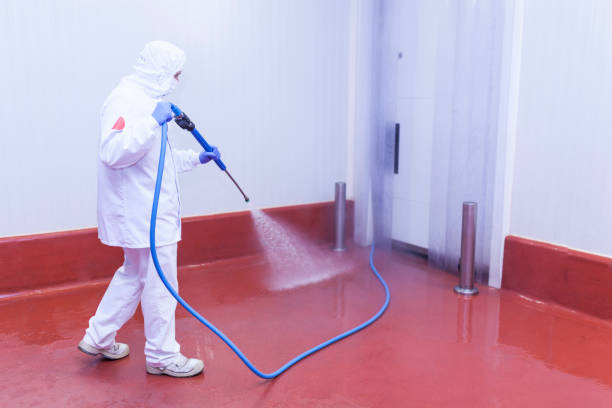 Best Animal Enclosure Cleaning  in Black Hammock, FL